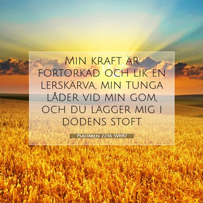 Picture 07 - Psaltaren 22:16 SV1917 - Min kraft är förtorkad och lik en lerskärva, - Bible Verse Picture