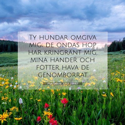 Picture 07 - Psaltaren 22:17 SV1917 - Ty hundar omgiva mig; de ondas hop har kringränt - Bible Verse Picture