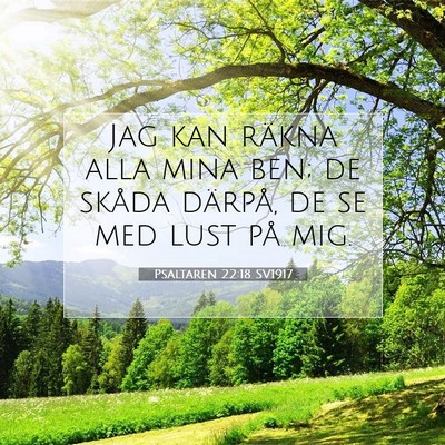 Picture 07 - Psaltaren 22:18 SV1917 - Jag kan räkna alla mina ben; de skåda därpå, - Bible Verse Picture