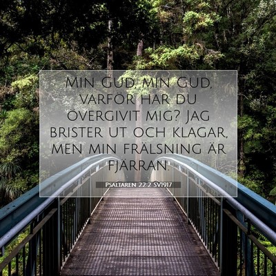 Picture 07 - Psaltaren 22:2 SV1917 - Min Gud, min Gud, varför har du övergivit mig? - Bible Verse Picture