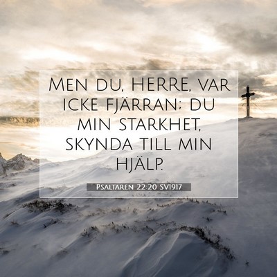 Picture 07 - Psaltaren 22:20 SV1917 - Men du, HERRE, var icke fjärran; du min - Bible Verse Picture