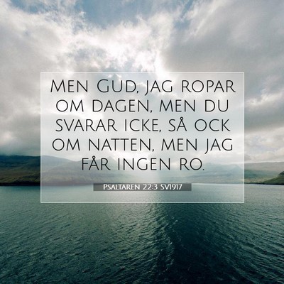 Picture 07 - Psaltaren 22:3 SV1917 - Men Gud, jag ropar om dagen, men du svarar icke, - Bible Verse Picture