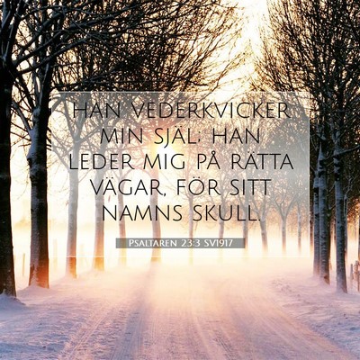 Picture 07 - Psaltaren 23:3 SV1917 - han vederkvicker min själ; han leder mig på - Bible Verse Picture