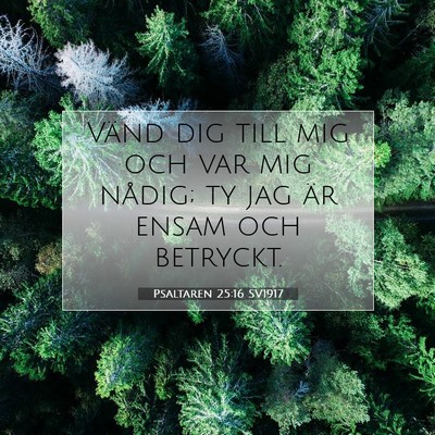 Picture 07 - Psaltaren 25:16 SV1917 - Vänd dig till mig och var mig nådig; ty jag är - Bible Verse Picture