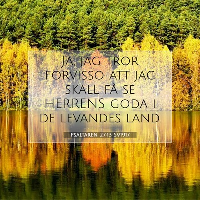 Picture 07 - Psaltaren 27:13 SV1917 - Ja, jag tror förvisso att jag skall få se - Bible Verse Picture
