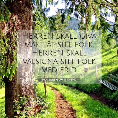 Picture 07 - Psaltaren 29:11 SV1917 - HERREN skall giva makt åt sitt folk, HERREN - Bible Verse Picture