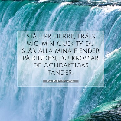 Picture 07 - Psaltaren 3:8 SV1917 - Stå upp, HERRE, fräls mig, min Gud; ty du slår - Bible Verse Picture