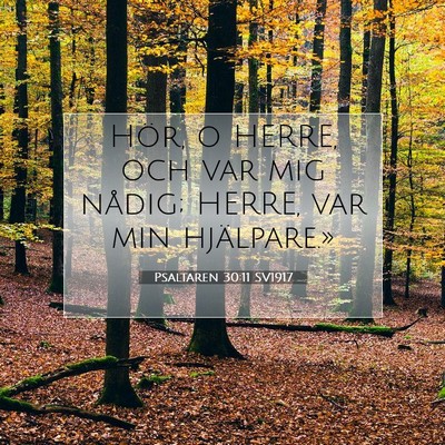 Picture 07 - Psaltaren 30:11 SV1917 - Hör, o HERRE, och var mig nådig; HERRE, var min - Bible Verse Picture