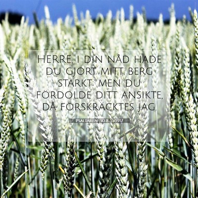 Picture 07 - Psaltaren 30:8 SV1917 - HERRE, i din nåd hade du gjort mitt berg starkt; - Bible Verse Picture