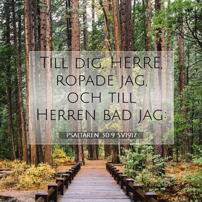 Picture 07 - Psaltaren 30:9 SV1917 - Till dig, HERRE, ropade jag, och till Herren bad - Bible Verse Picture