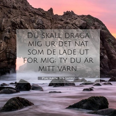 Picture 07 - Psaltaren 31:5 SV1917 - Du skall draga mig ur det nät som de lade ut - Bible Verse Picture