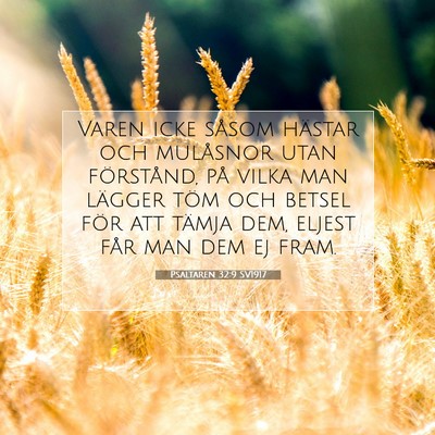 Picture 07 - Psaltaren 32:9 SV1917 - Varen icke såsom hästar och mulåsnor utan - Bible Verse Picture
