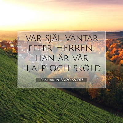 Picture 07 - Psaltaren 33:20 SV1917 - Vår själ väntar efter HERREN; han är vår - Bible Verse Picture