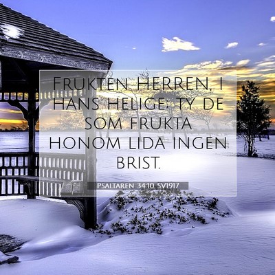 Picture 07 - Psaltaren 34:10 SV1917 - Frukten HERREN, I hans helige; ty de som frukta - Bible Verse Picture