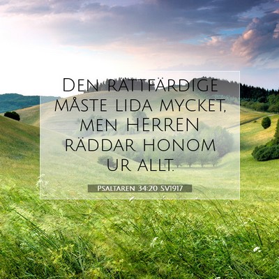 Picture 07 - Psaltaren 34:20 SV1917 - Den rättfärdige måste lida mycket, men HERREN - Bible Verse Picture