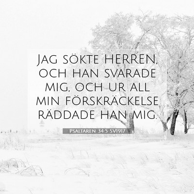 Picture 07 - Psaltaren 34:5 SV1917 - Jag sökte HERREN, och han svarade mig, och ur - Bible Verse Picture
