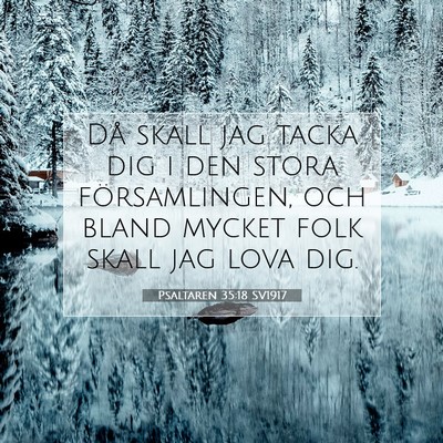 Picture 07 - Psaltaren 35:18 SV1917 - Då skall jag tacka dig i den stora - Bible Verse Picture