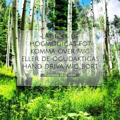 Picture 07 - Psaltaren 36:12 SV1917 - Låt icke de högmodigas fot komma över mig - Bible Verse Picture