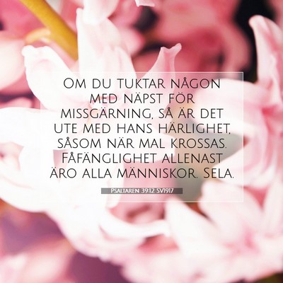 Picture 07 - Psaltaren 39:12 SV1917 - Om du tuktar någon med näpst för missgärning, - Bible Verse Picture