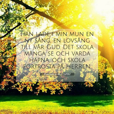 Picture 07 - Psaltaren 40:4 SV1917 - han lade i min mun en ny sång, en lovsång till - Bible Verse Picture