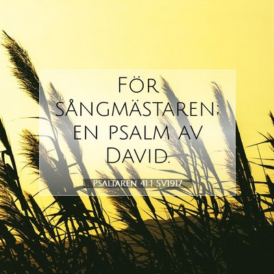 Picture 07 - Psaltaren 41:1 SV1917 - För sångmästaren; en psalm av - Bible Verse Picture
