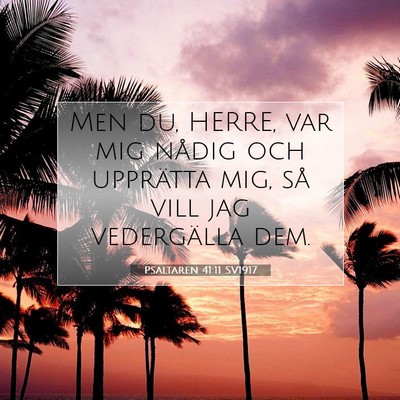 Picture 07 - Psaltaren 41:11 SV1917 - Men du, HERRE, var mig nådig och upprätta mig, - Bible Verse Picture