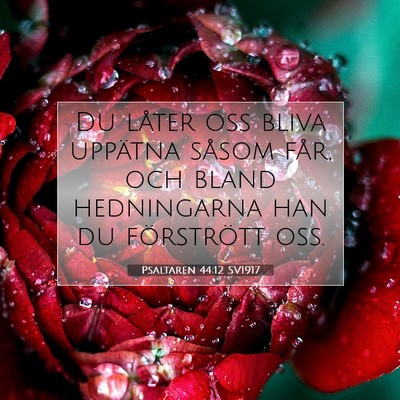 Picture 07 - Psaltaren 44:12 SV1917 - Du låter oss bliva uppätna såsom får, och - Bible Verse Picture