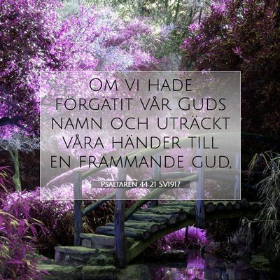 Picture 07 - Psaltaren 44:21 SV1917 - Om vi hade förgätit vår Guds namn och uträckt - Bible Verse Picture