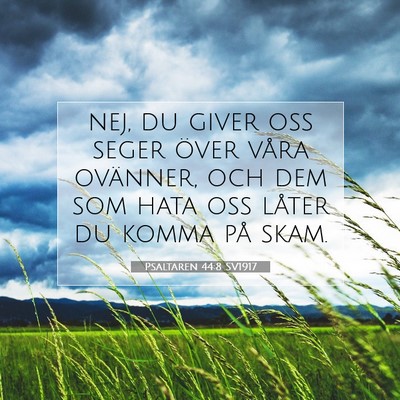 Picture 07 - Psaltaren 44:8 SV1917 - nej, du giver oss seger över våra ovänner, och - Bible Verse Picture