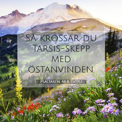 Picture 07 - Psaltaren 48:8 SV1917 - Så krossar du Tarsis-skepp med - Bible Verse Picture