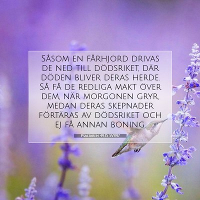 Picture 07 - Psaltaren 49:15 SV1917 - Såsom en fårhjord drivas de ned till - Bible Verse Picture