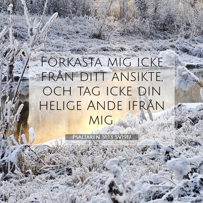 Picture 07 - Psaltaren 51:13 SV1917 - Förkasta mig icke från ditt ansikte, och tag - Bible Verse Picture