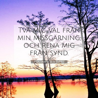Picture 07 - Psaltaren 51:4 SV1917 - Två mig väl från min missgärning, och rena - Bible Verse Picture