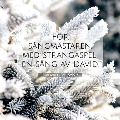 Picture 07 - Psaltaren 54:1 SV1917 - För sångmästaren, med strängaspel; en sång - Bible Verse Picture