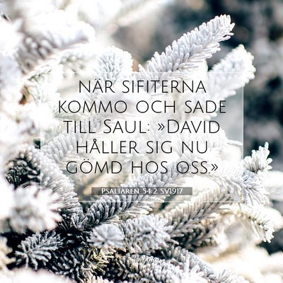 Picture 07 - Psaltaren 54:2 SV1917 - när sifiterna kommo och sade till Saul: »David - Bible Verse Picture