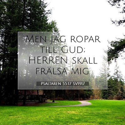 Picture 07 - Psaltaren 55:17 SV1917 - Men jag ropar till Gud; HERREN skall frälsa - Bible Verse Picture