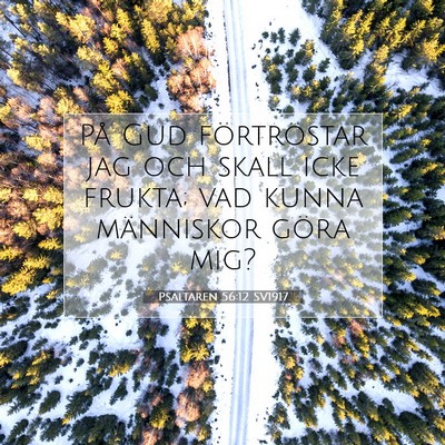 Picture 07 - Psaltaren 56:12 SV1917 - På Gud förtröstar jag och skall icke frukta; - Bible Verse Picture