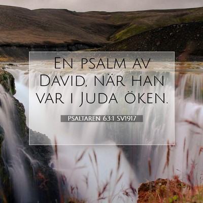 Picture 07 - Psaltaren 63:1 SV1917 - En psalm av David, när han var i Juda - Bible Verse Picture