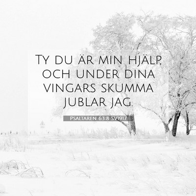 Picture 07 - Psaltaren 63:8 SV1917 - Ty du är min hjälp, och under dina vingars - Bible Verse Picture