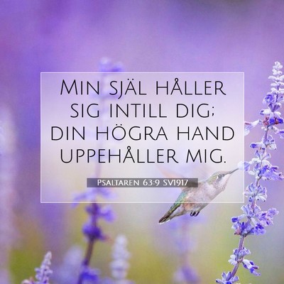 Picture 07 - Psaltaren 63:9 SV1917 - Min själ håller sig intill dig; din högra hand - Bible Verse Picture