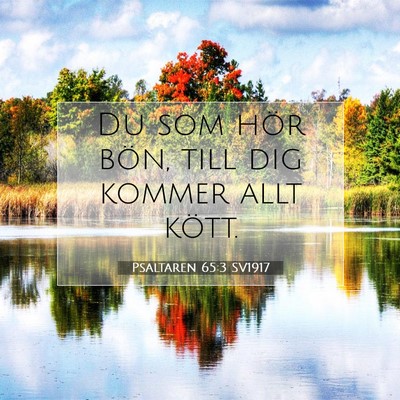 Picture 07 - Psaltaren 65:3 SV1917 - Du som hör bön, till dig kommer allt - Bible Verse Picture