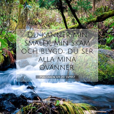 Picture 07 - Psaltaren 69:20 SV1917 - Du känner min smälek, min skam och blygd; du - Bible Verse Picture
