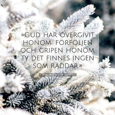 Picture 07 - Psaltaren 71:11 SV1917 - »Gud har övergivit honom; förföljen och - Bible Verse Picture