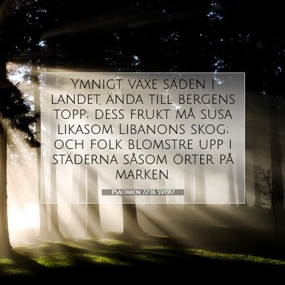Picture 07 - Psaltaren 72:16 SV1917 - Ymnigt växe säden i landet, ända till bergens - Bible Verse Picture