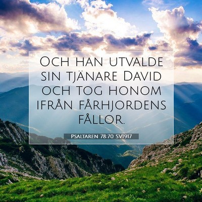 Picture 07 - Psaltaren 78:70 SV1917 - Och han utvalde sin tjänare David och tog honom - Bible Verse Picture