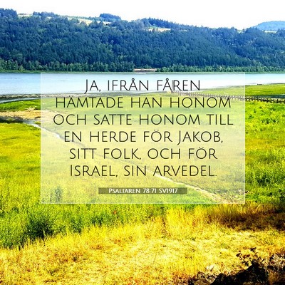 Picture 07 - Psaltaren 78:71 SV1917 - Ja, ifrån fåren hämtade han honom och satte - Bible Verse Picture