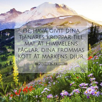 Picture 07 - Psaltaren 79:2 SV1917 - De hava givit dina tjänares kroppar till mat åt - Bible Verse Picture