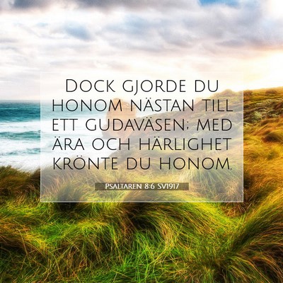Picture 07 - Psaltaren 8:6 SV1917 - Dock gjorde du honom nästan till ett gudaväsen; - Bible Verse Picture