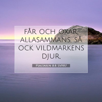 Picture 07 - Psaltaren 8:8 SV1917 - får och oxar, allasammans, så ock vildmarkens - Bible Verse Picture