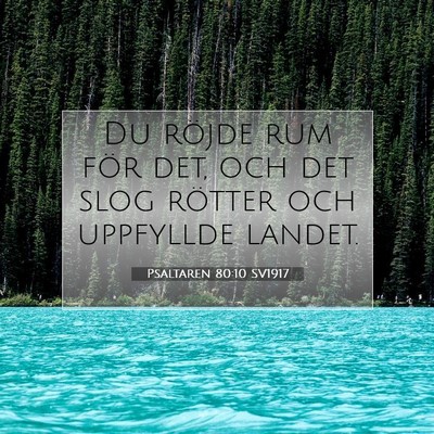 Picture 07 - Psaltaren 80:10 SV1917 - Du röjde rum för det, och det slog rötter och - Bible Verse Picture